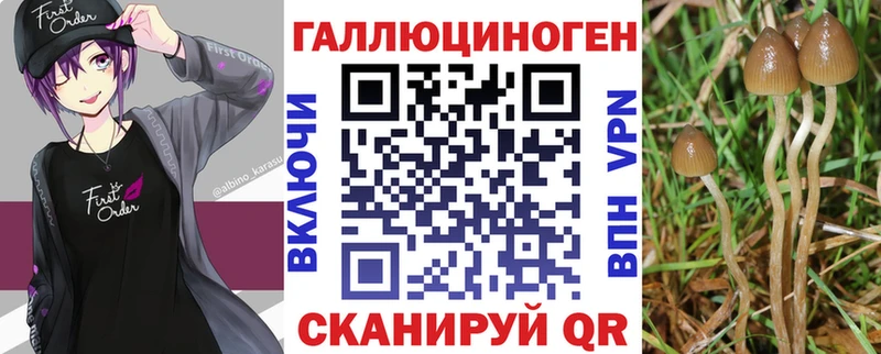 omg маркетплейс маркетплейс формула Галлюциногенные грибы Magic Shrooms цена наркотик Гурьевск